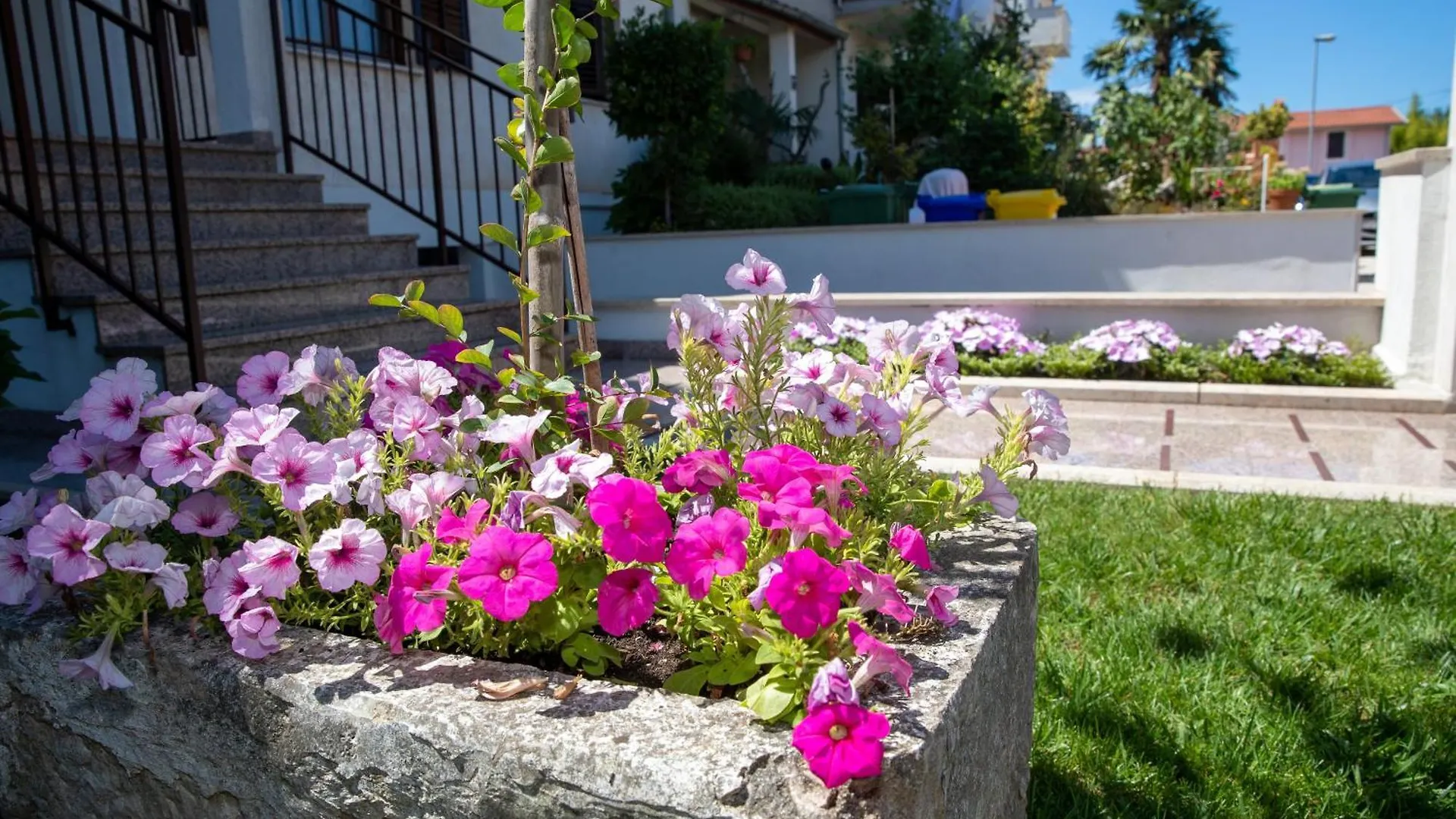 Studio Apartment Noah Rovinj